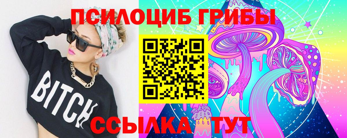Галлюциногенные грибы Psilocybe  Вход с VPN  Черняховск  Псилоцибиновые грибы MAGIC MUSHROOMS 